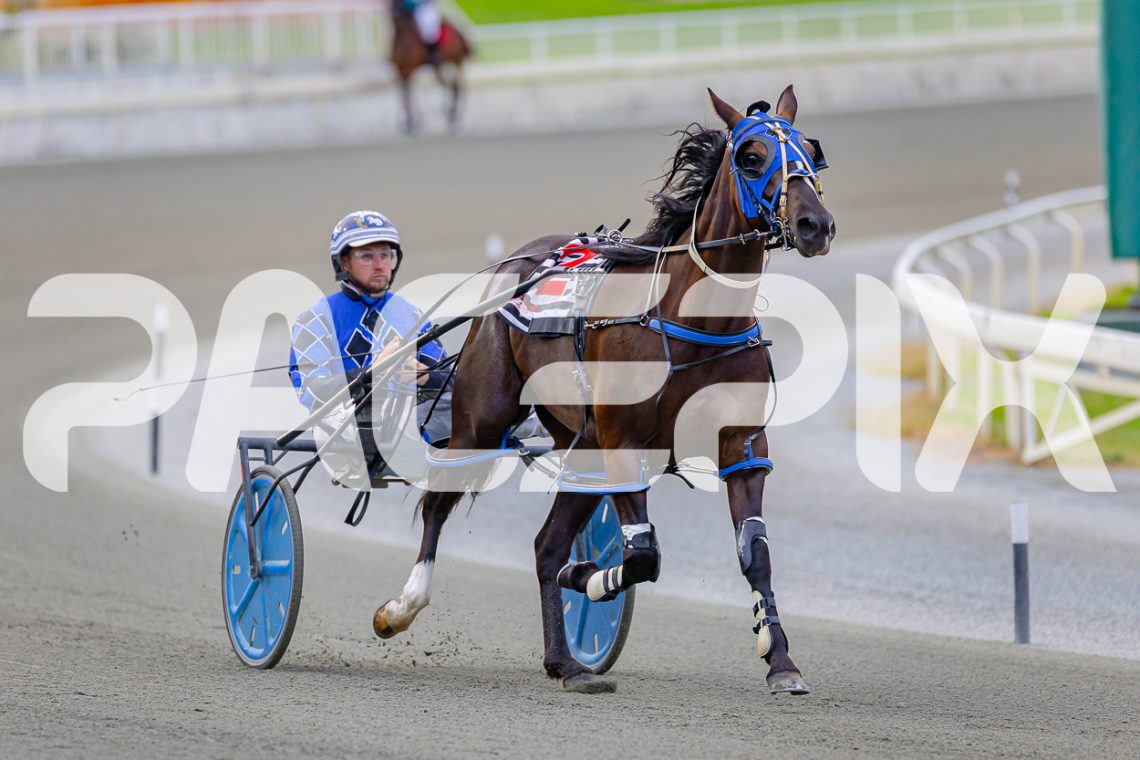 Wishing Belle steps up yet again to nab Diamond Classic