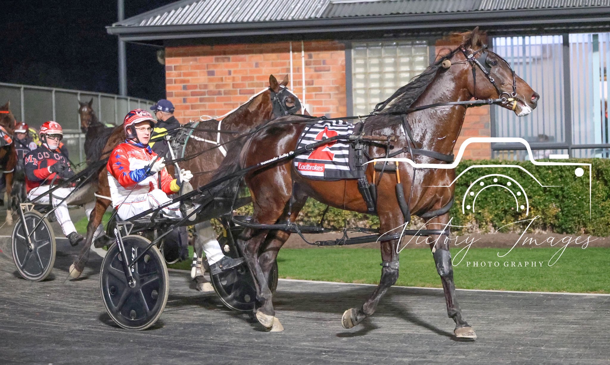 Small state, Big impact: Tasmanian sale keeps kicking goals