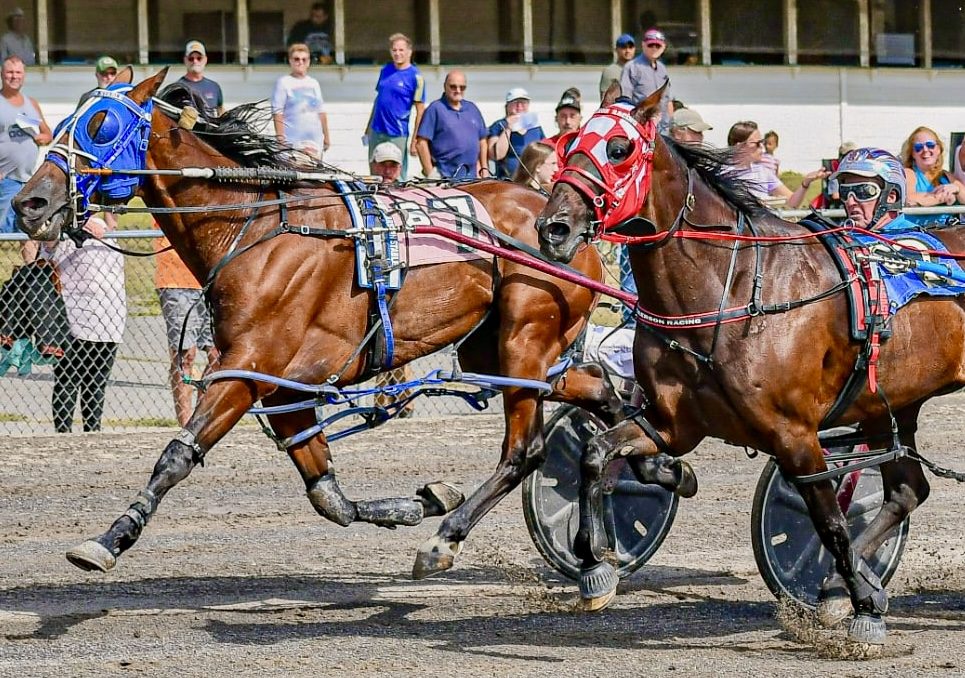 Long shots rule at Windsor Fair