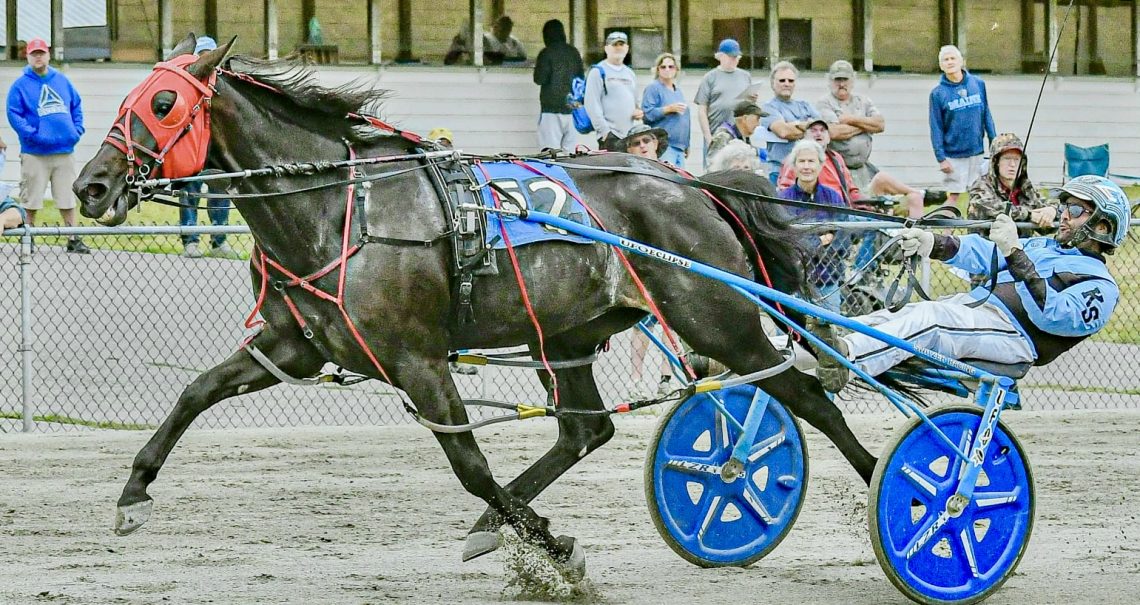 Switzer wins five at Maine’s Windsor Fair