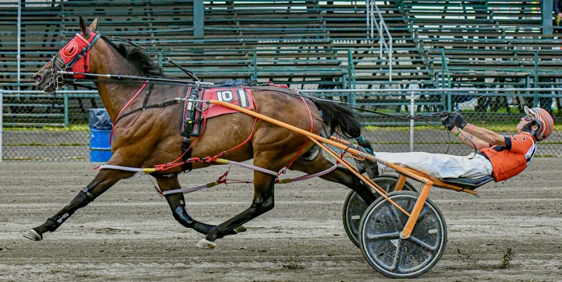 Western Stepp rekindles memories at Windsor Fair