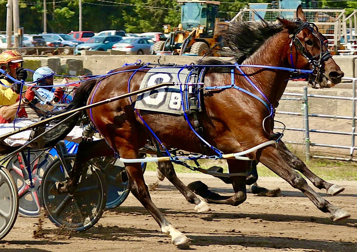Bruce Ranger caps Topsham Fair with triple