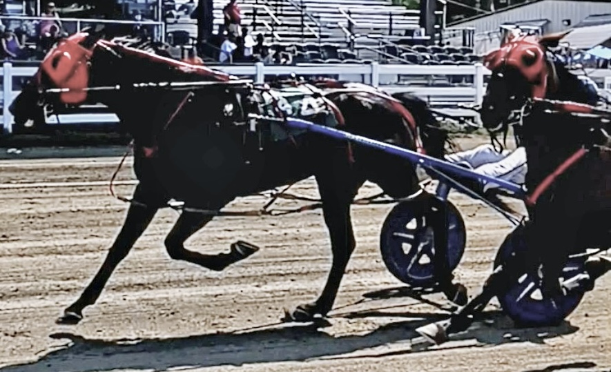 Switzer, Jr remains hot, June Parker keeps winning