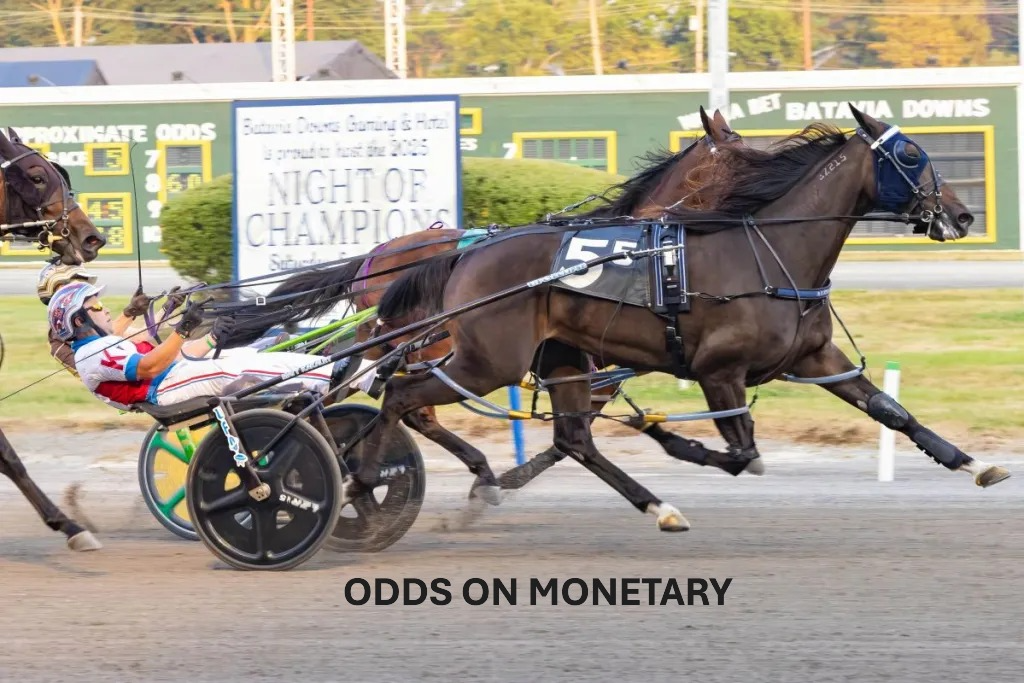 Swan Song for the 2025 NYSS at Monticello