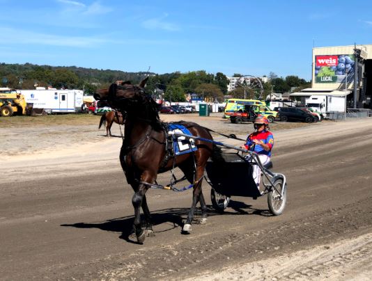 Several records broken at Somerset County Fairgrounds