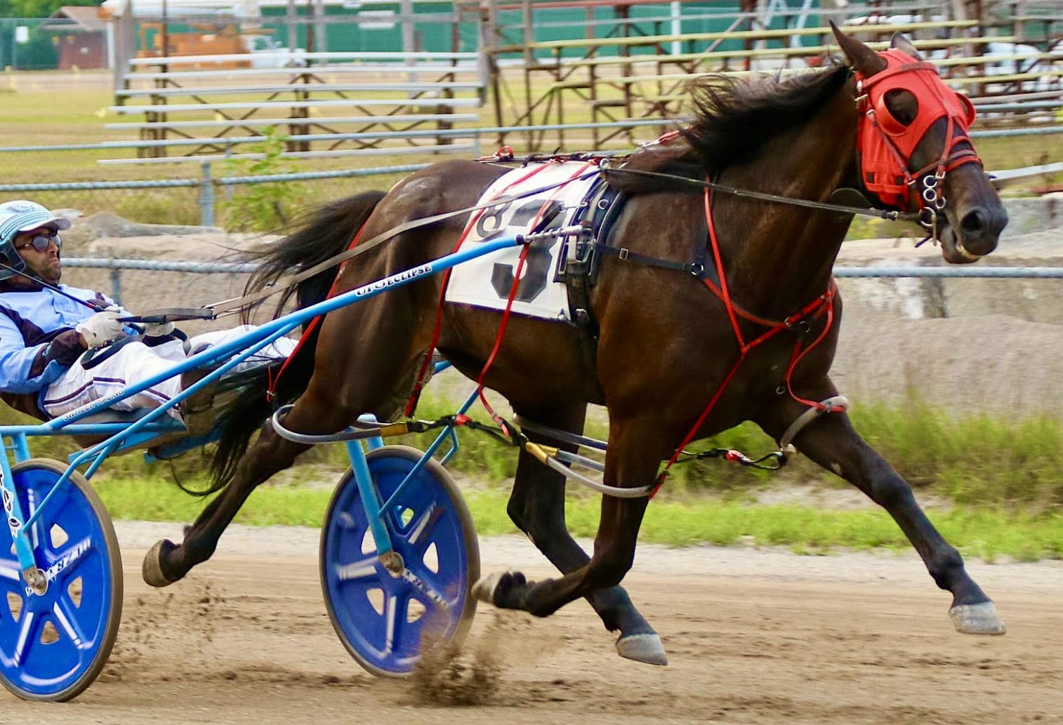 Juneparker streaks to victory