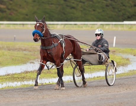 Latest fortnightly auction ends Wednesday from 7pm