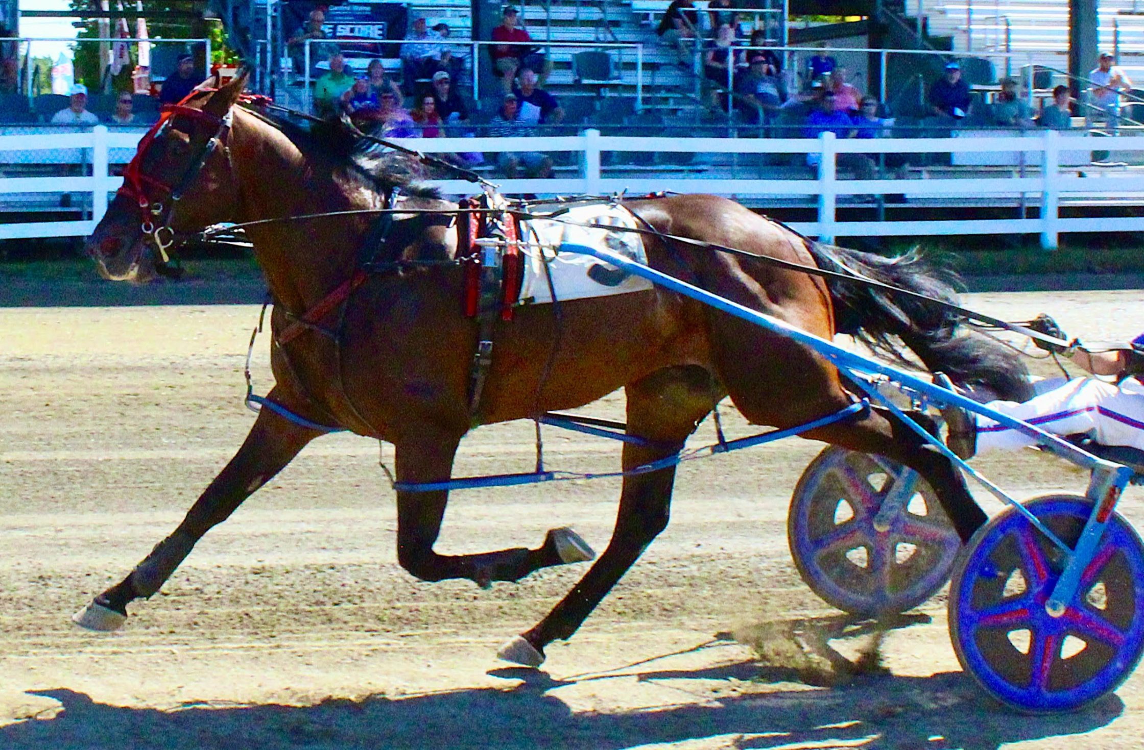 70th win for ‘grand old boy’