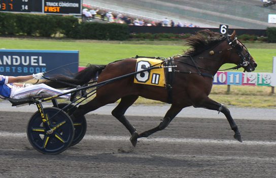Periculum dominates $300,000 John Cashman Memorial