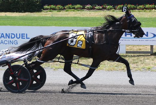 Shakeup in Week 8 of Hambletonian Society/Breeders Crown poll