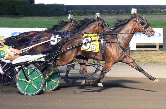 Perfect Sting progeny stun in Home Grown