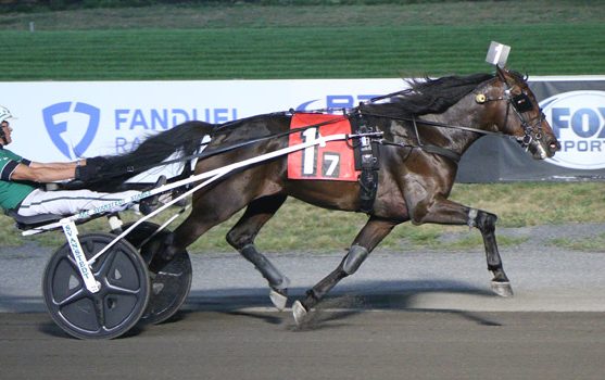 Two Garden State division winners for Svanstedt