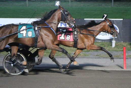 Busy Miss Lissy S goes four in a row