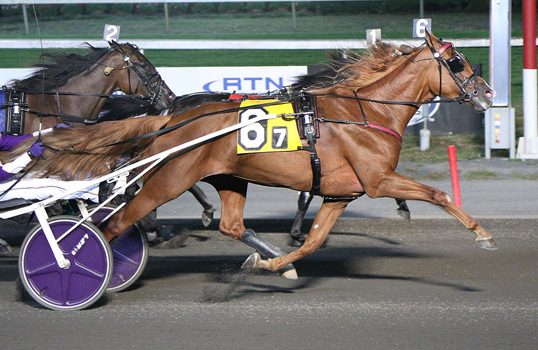 ‘Girl Power’ displayed at Big M