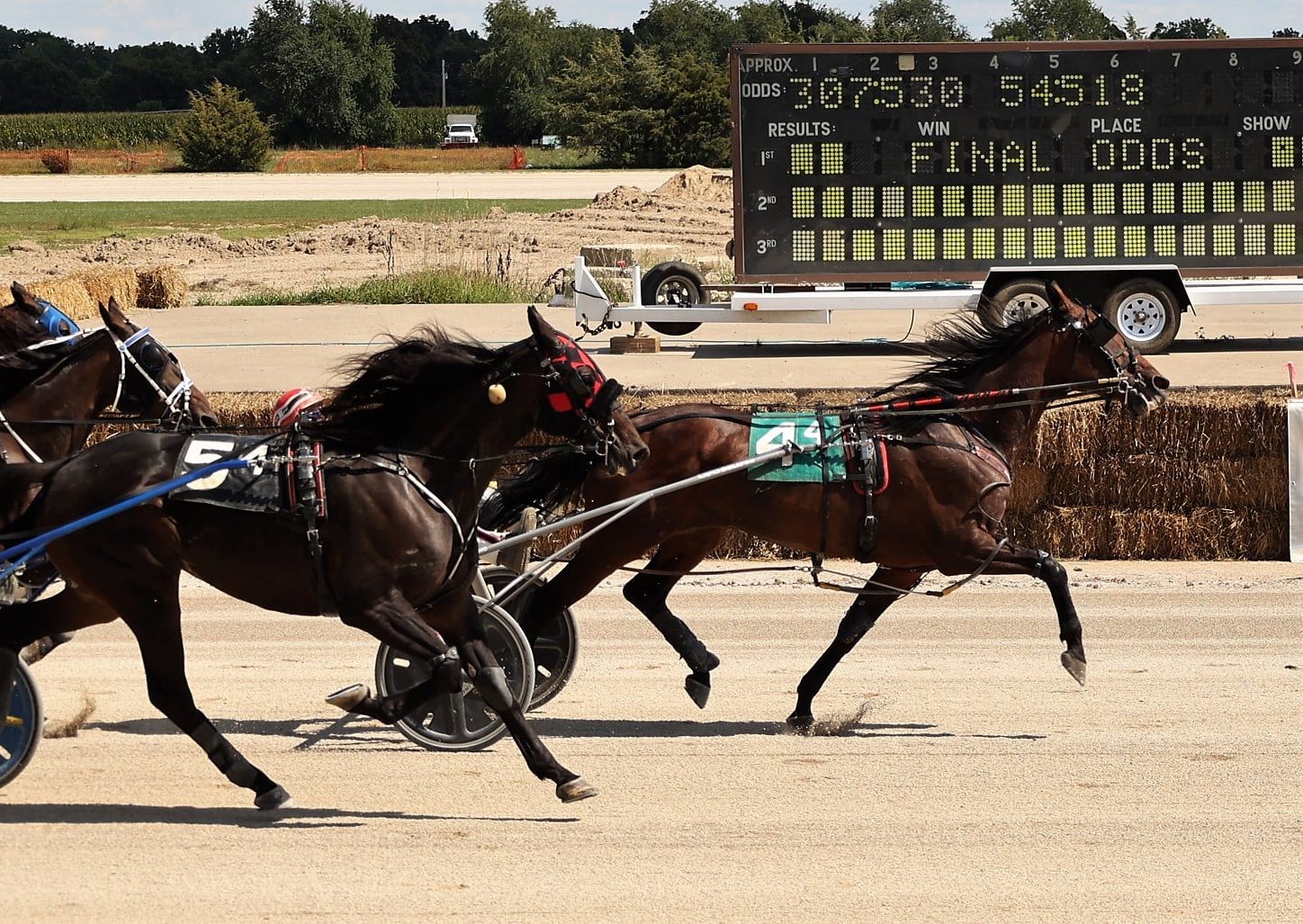 Peter the Con ‘steals’ track record from Holton