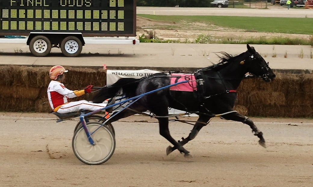 Two Birds Onestone smashes all-time track record
