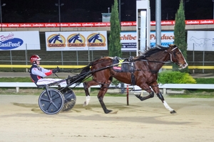 Sweet Lou colt looking for more success