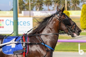 Dame Valour wins after tough trip