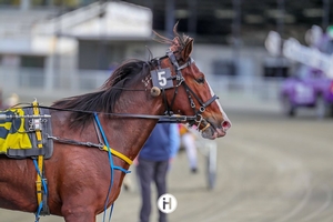 Sweet Vivienne goes to another level