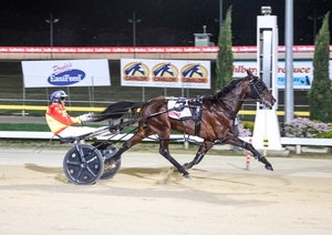 Derby & Oaks double for Stewart and McDonough