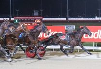 Maddis Tiger continues to grade rise