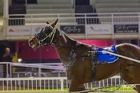 Gear change works wonders on smart filly