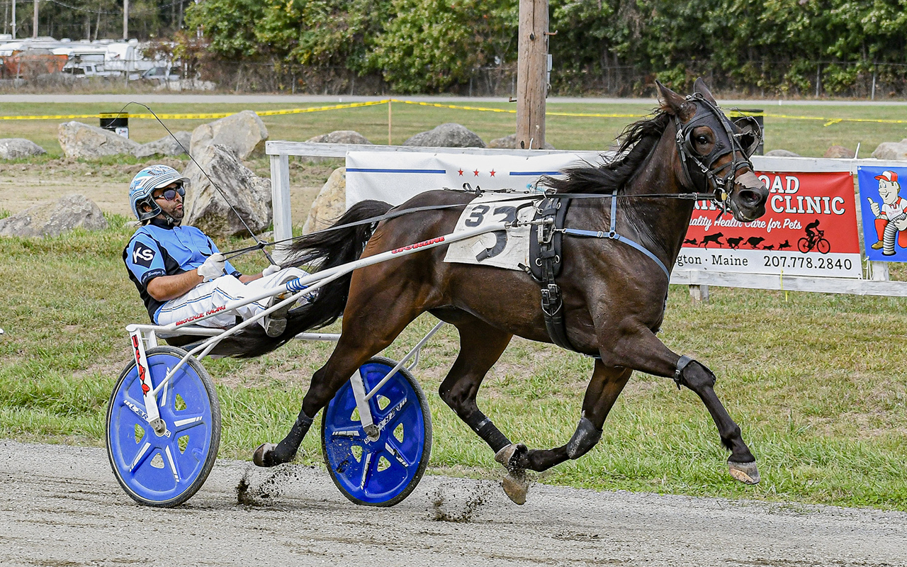 Wildcard, Barbella extend winning streaks in Maine Sire Stakes