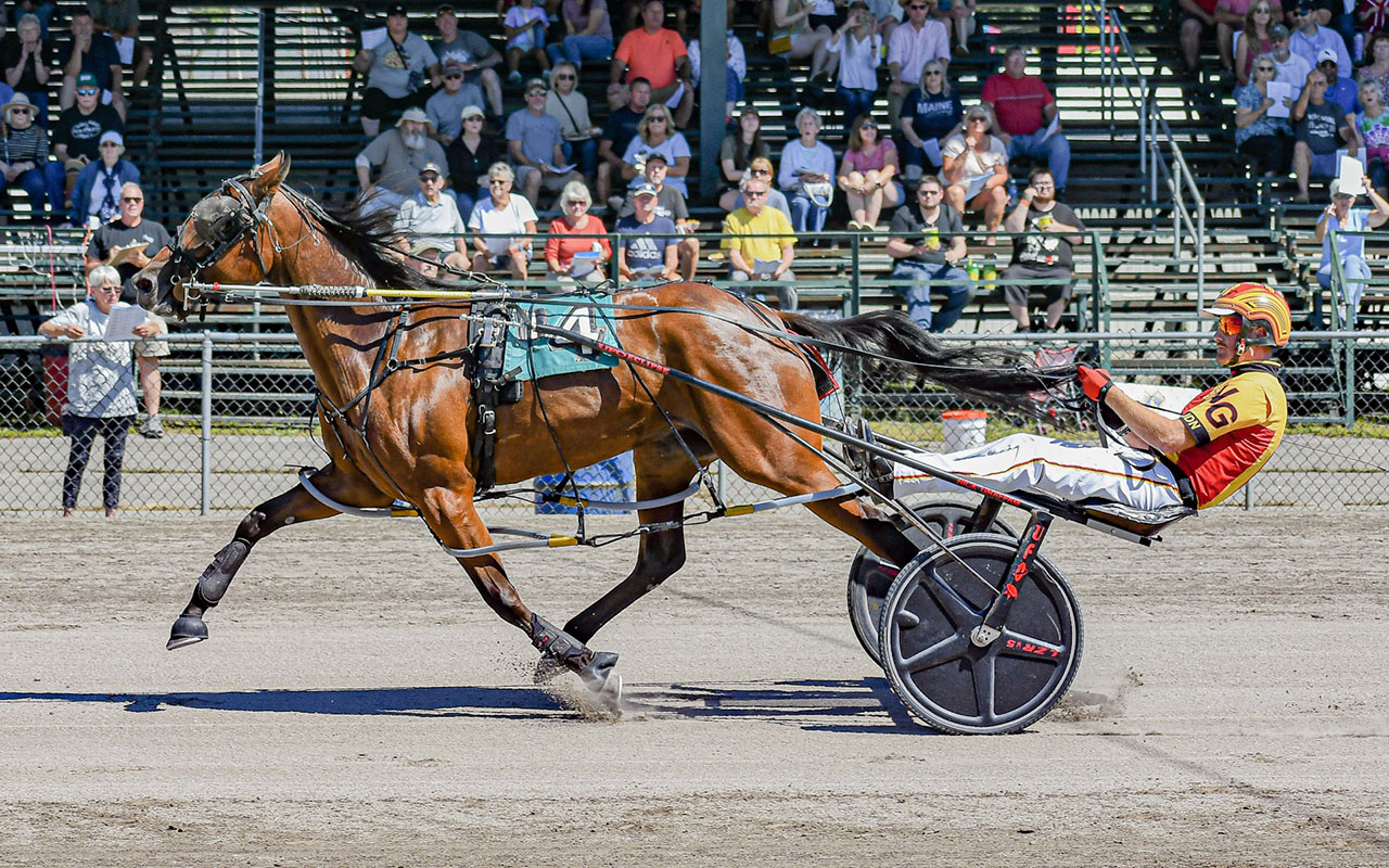 Chasing Dudes, Leanne Marie lead the way in Stakes Showdown