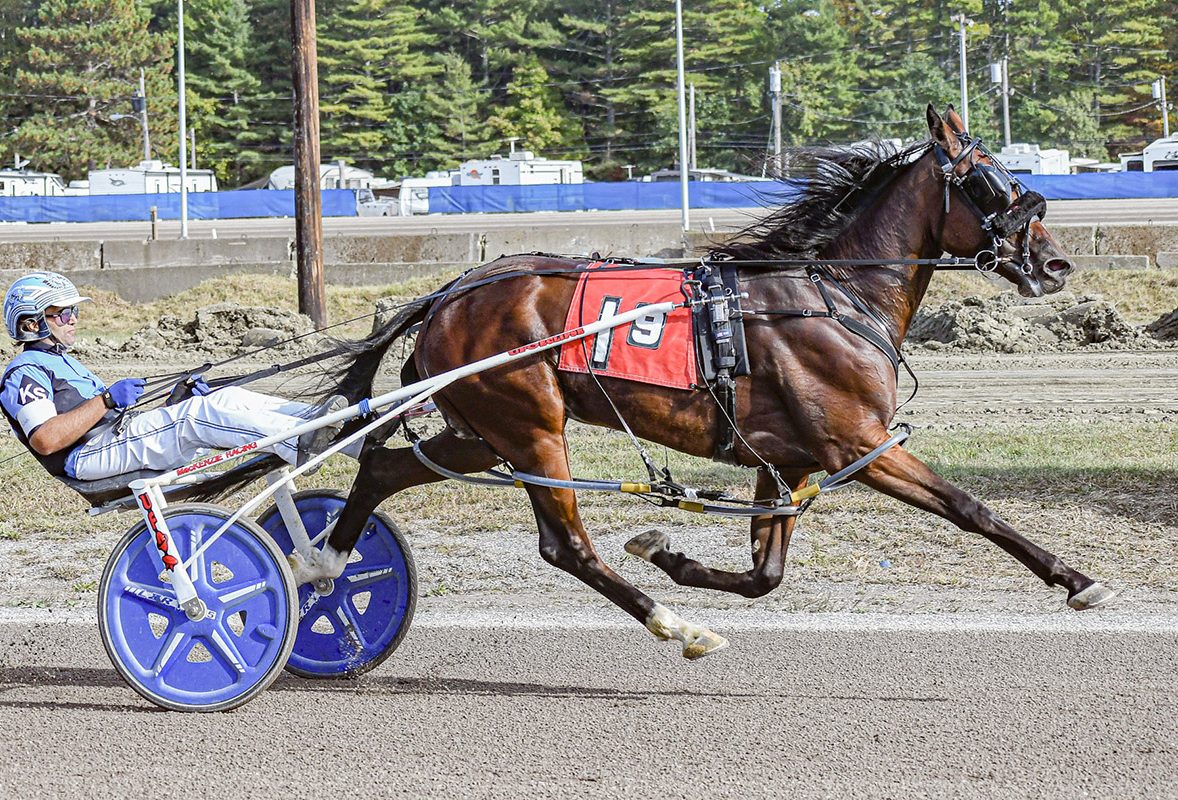 Real Horrorshow romps to ninth straight win