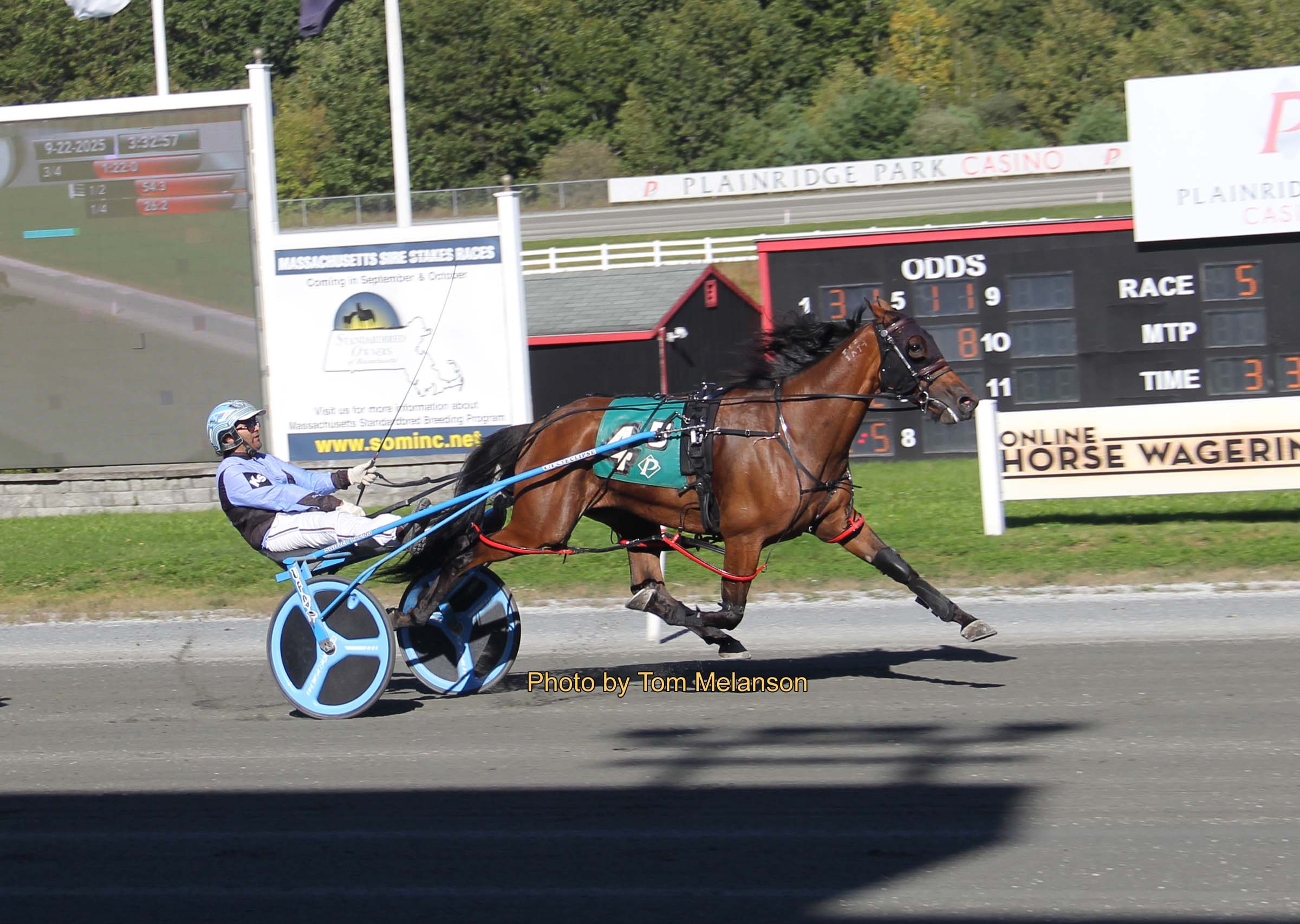 Always Bstunning N, Two Fold Cold win Open paces