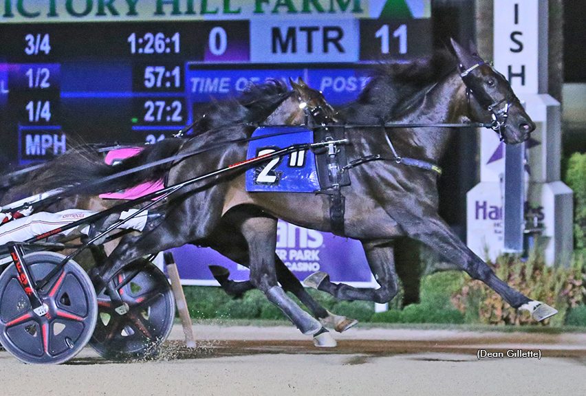 Dexter Dunn and Apex too strong in Peter Haughton Memorial