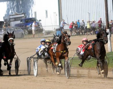 OHHA to Live Stream from Ashland County Fair