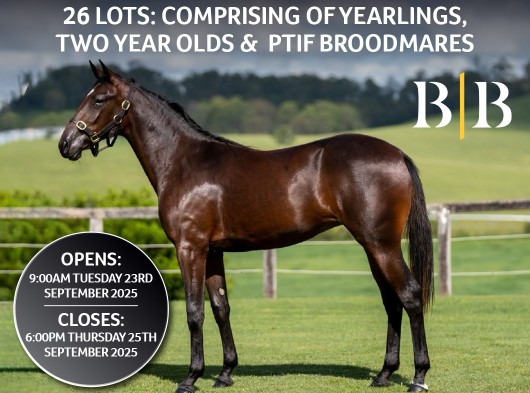 Premium reduction draft via Nutrien QBRED Sale