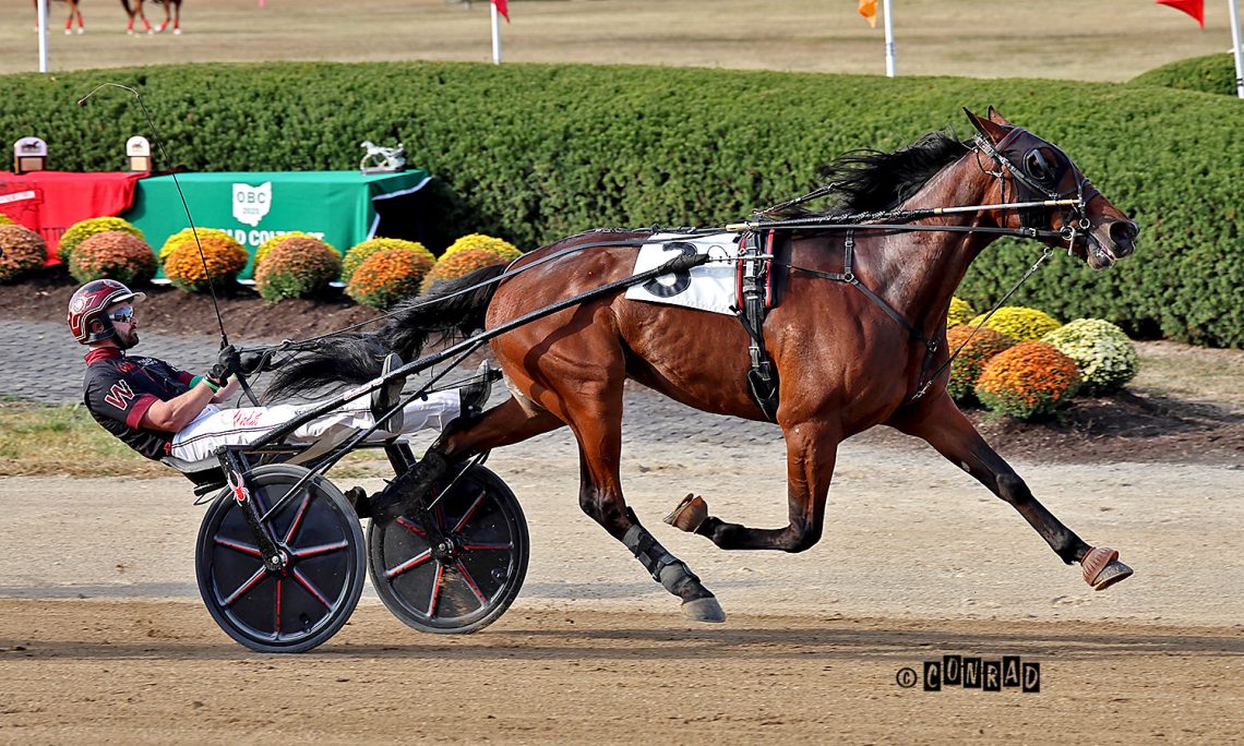 Colt Remains Undefeated with Delaware Win