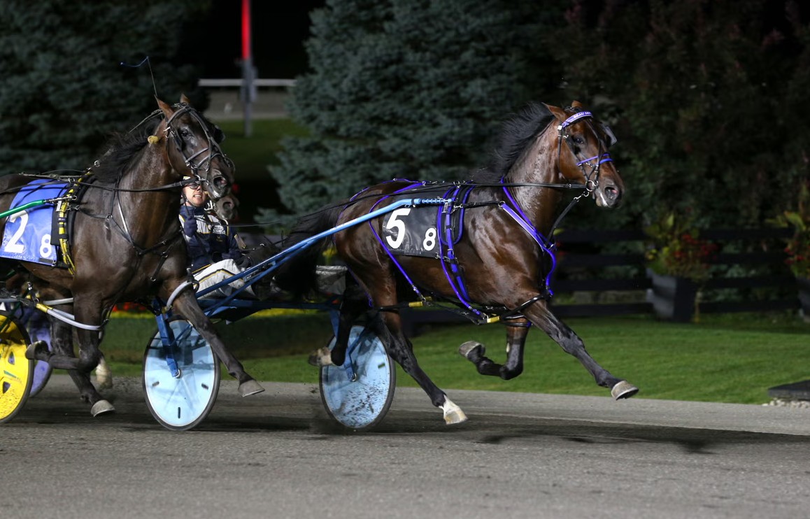 Beau Jangles superb in $1,000,000 Metro Pace