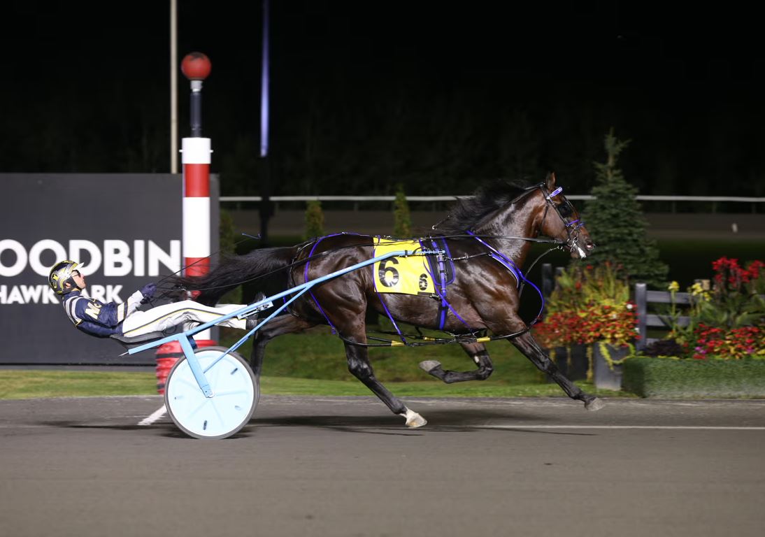 Beau Jangles, Frantic Hanover stay unbeaten in Metro Eliminations