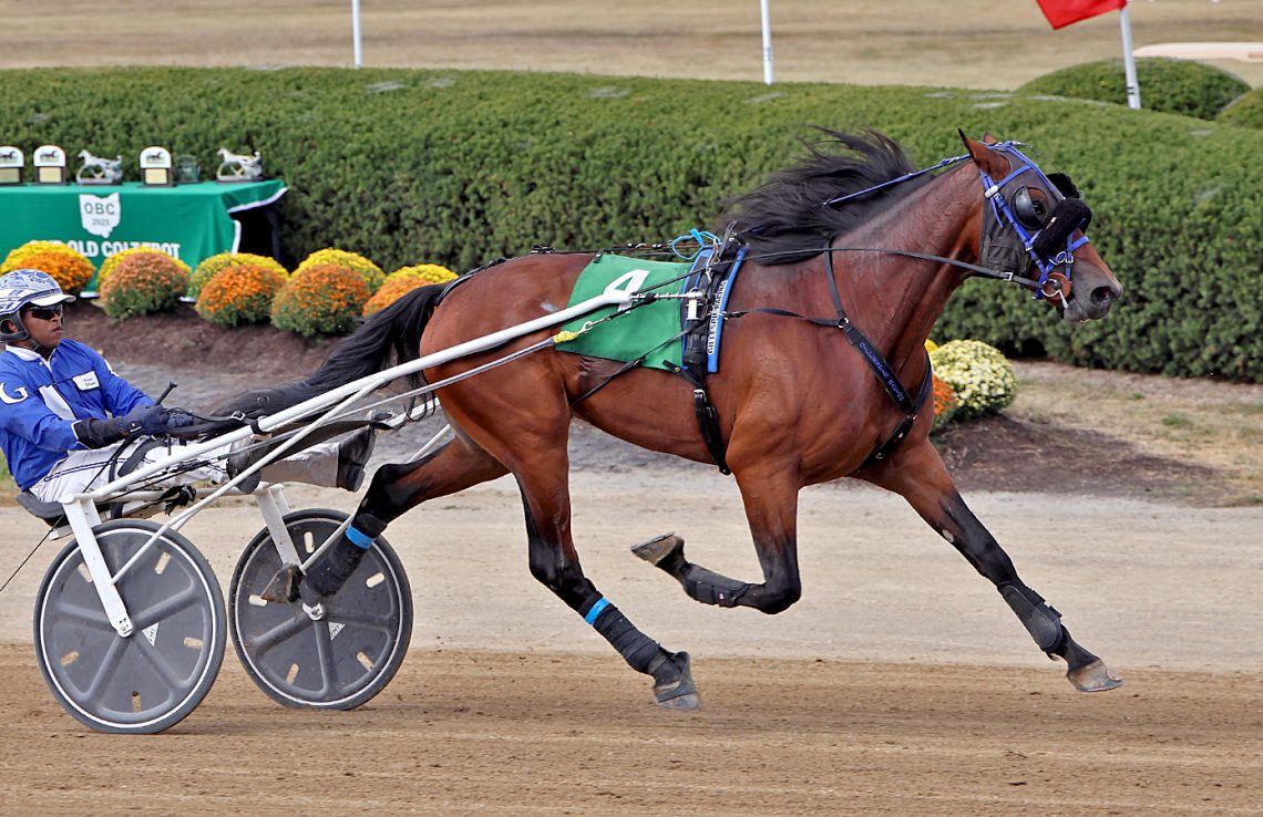 Colt Remains Undefeated with Delaware Win