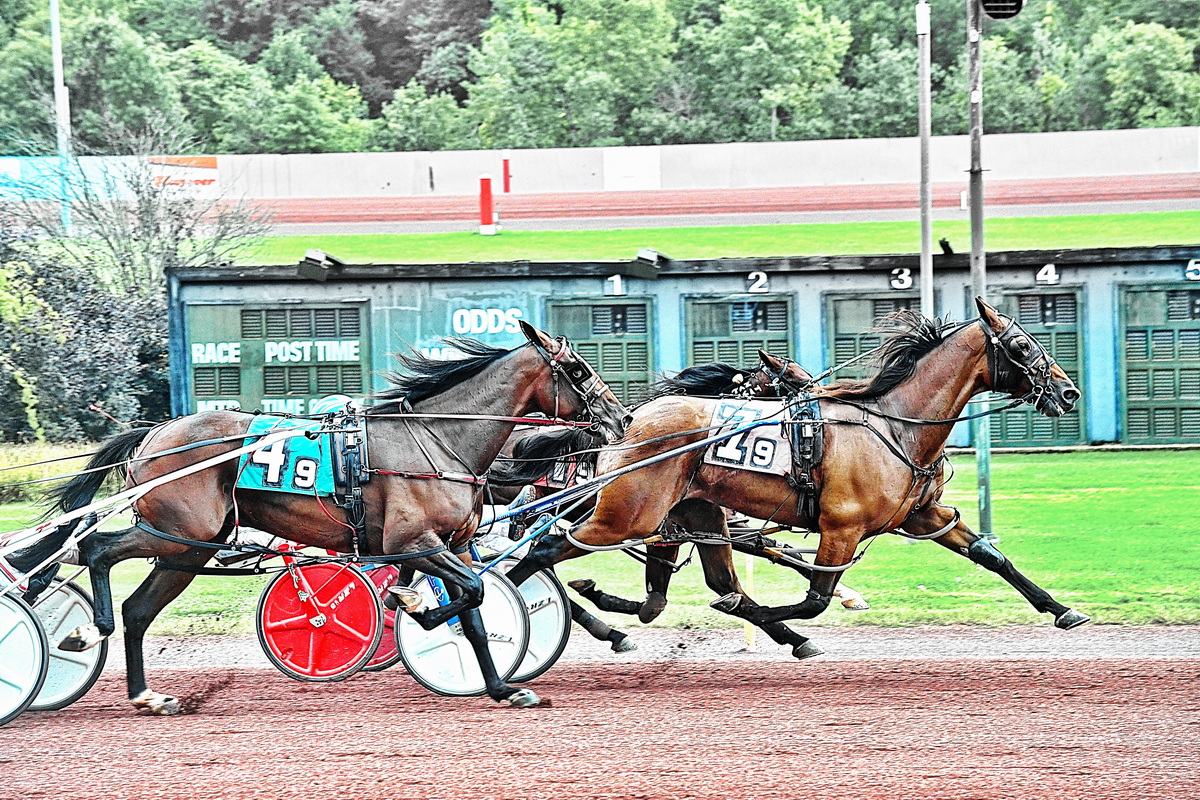 Congressional stays hot with gritty win