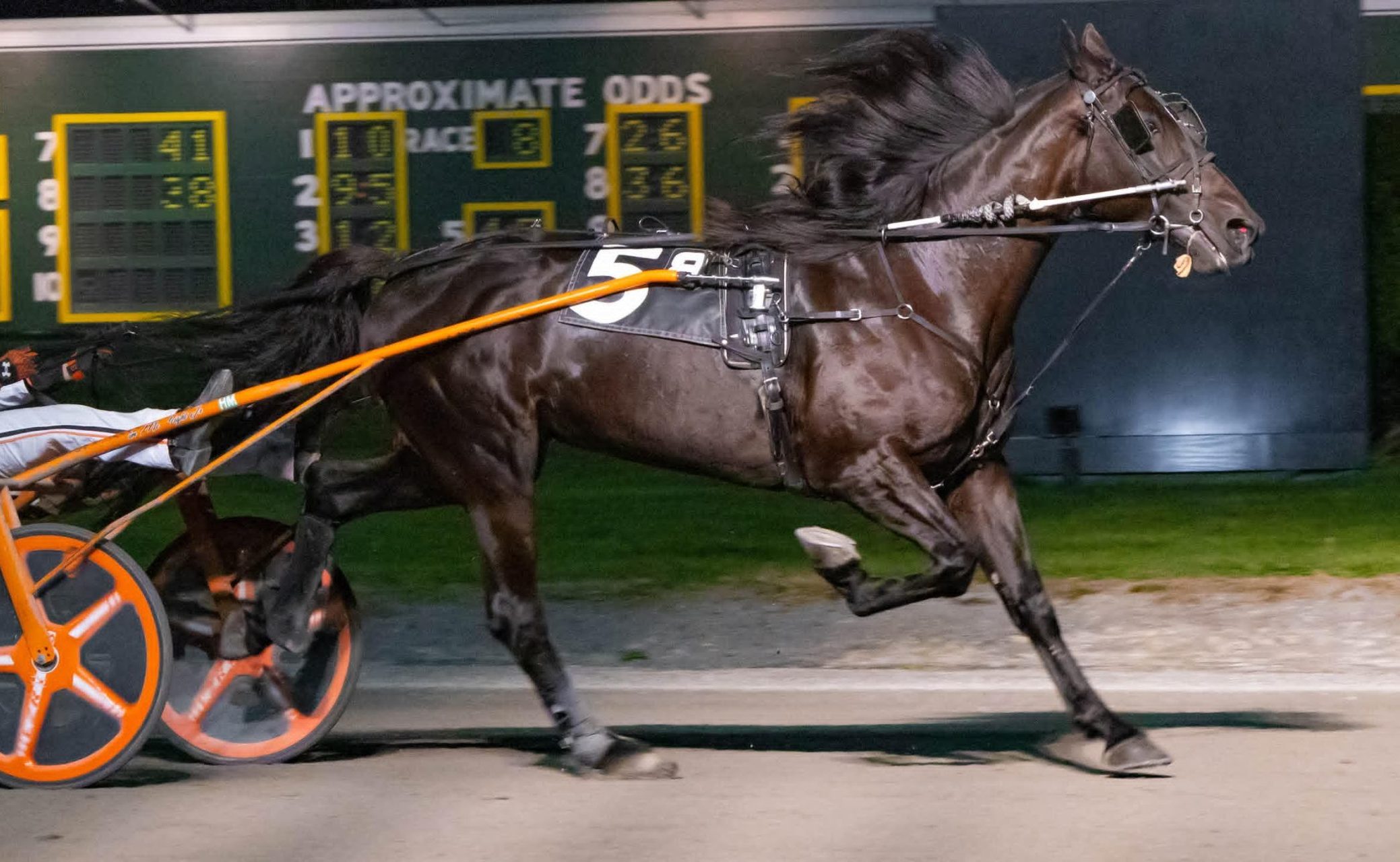 Grand slams for Monti and McDonough