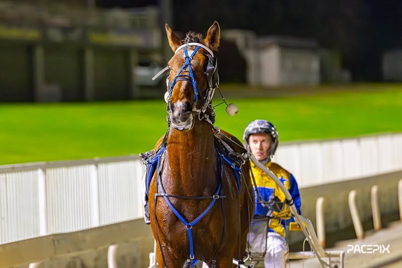 D Mac’s Group 1 Golden Slipper at just his third start