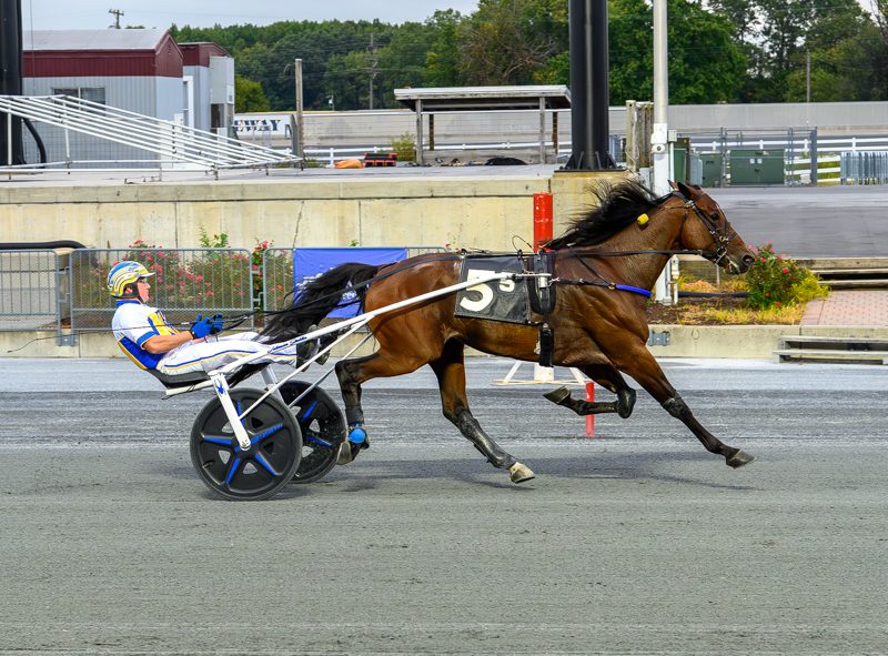Dyladmar wires field for 6th win of season