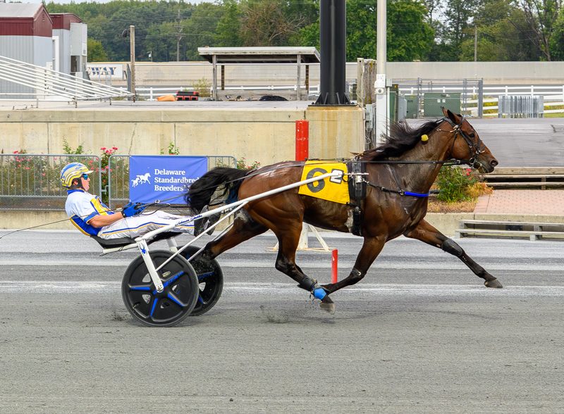 Dyladmar repeats for Dreamville Stable