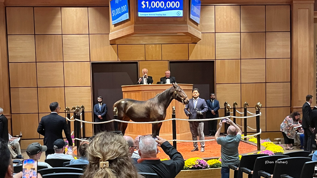 Dejeuner sets record, sells for $1 Million at Lexington