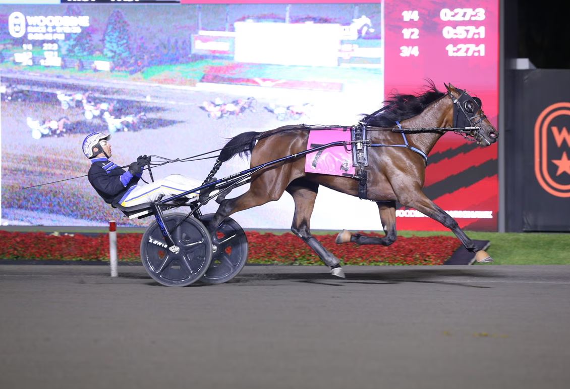 Denarius, Shimmering Hanover sweep $163,725 Champlain Stakes