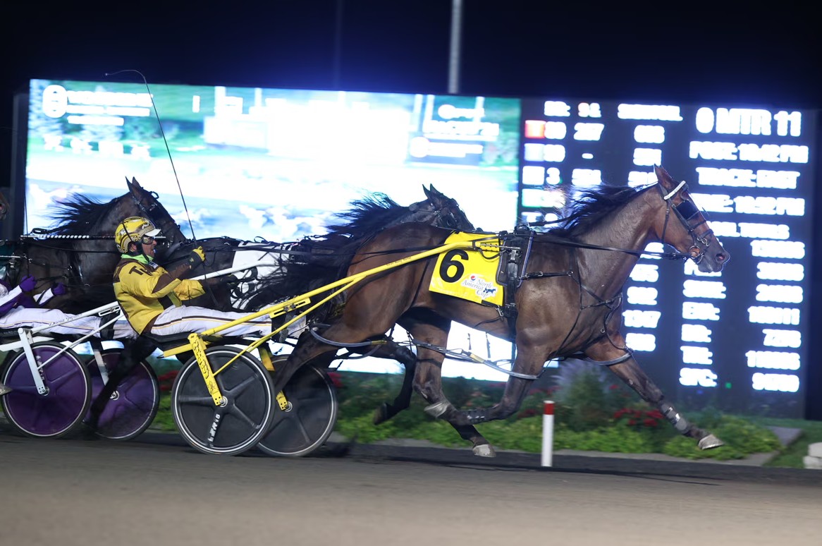 Game Changers – Desperate Man