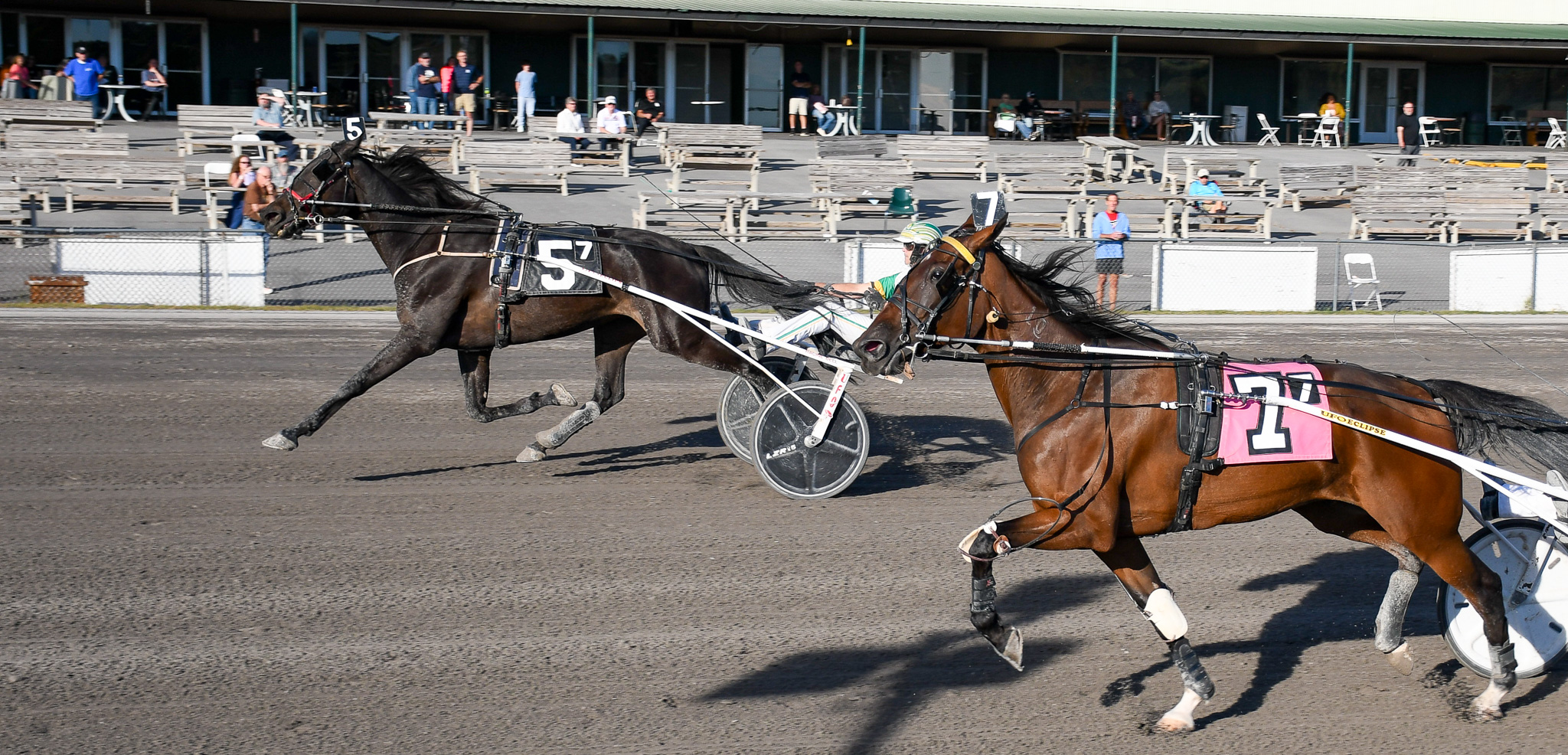 Four wins for Gregory including feature