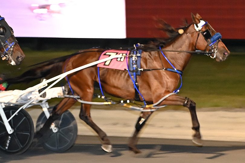 Sheer Terror steadfast winning feature