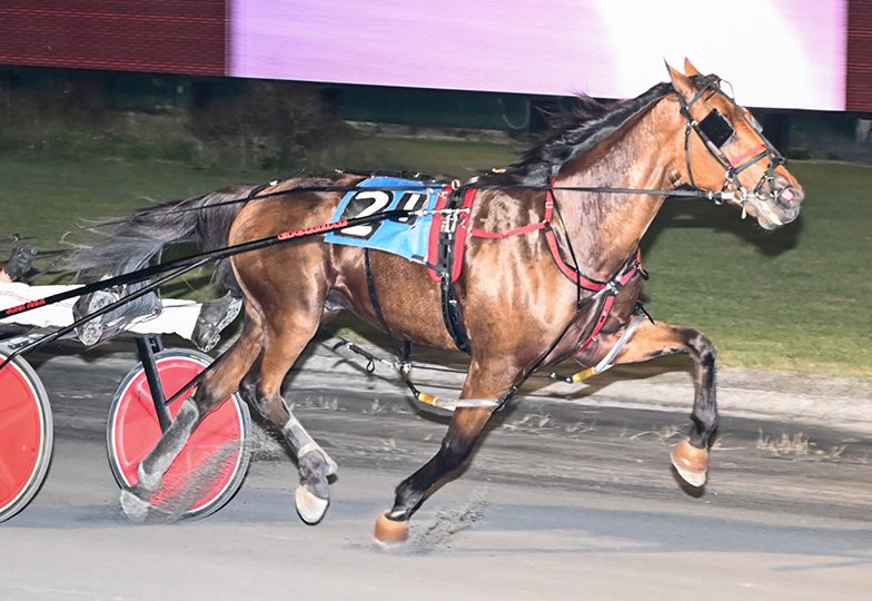 Ahle wins three Sire Stakes splits