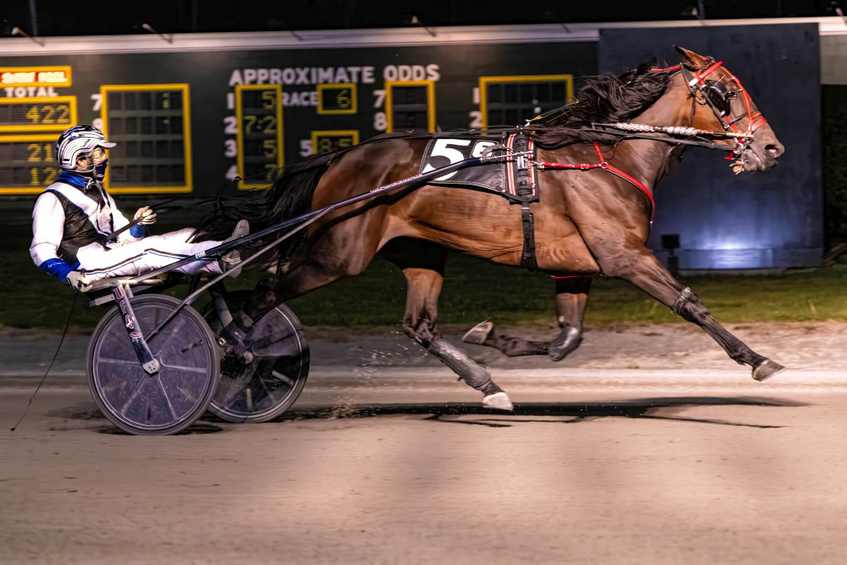 Open delight for Cummings, Morrill