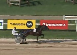 Enjoy captures Dr. Jozsef Vecsekloy Memorial